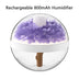 Eternal Flower Humidifier Atmosphere